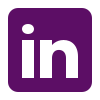 icon Linkedin W2S